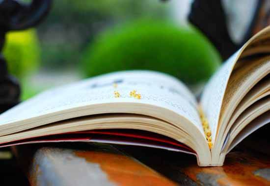 【开云电竞官方网站】
最全！全国各省自考办官方网站(图2)