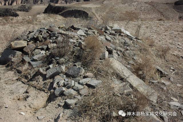 开云电竞官方网站