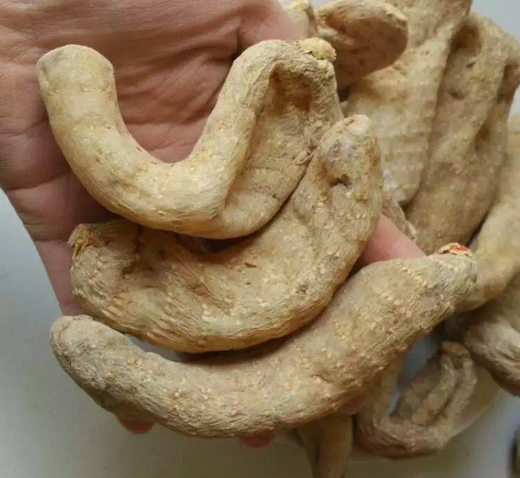 开云电竞官方网站