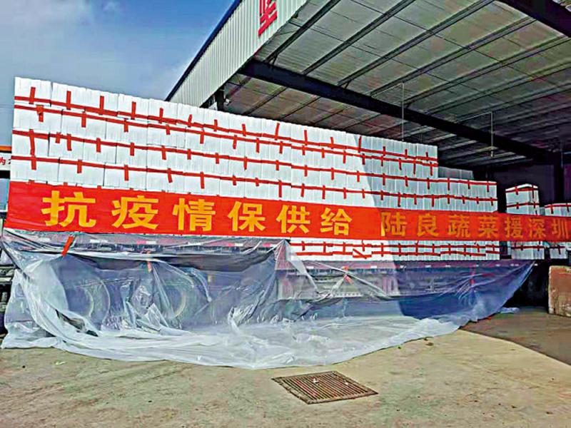 阿富汗政府机构遭塔利班连环袭击 致数十人伤亡-开云电竞官网(图1) 开云电竞官方网站