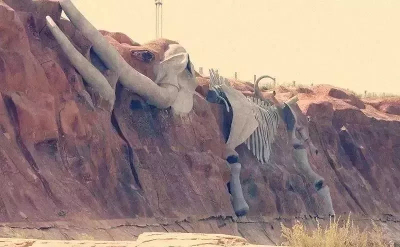 柳艺凌:8.20晚间黄金若企稳1920位置多头仍将还击!:开云电竞(图7) 开云电竞官方网站