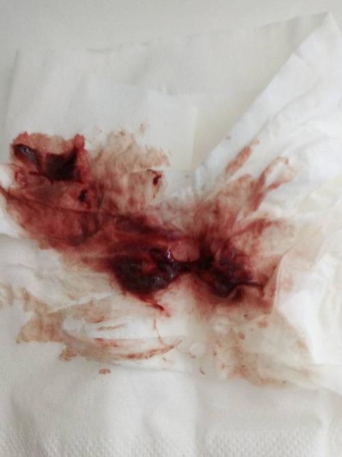 ‘开云电竞官网’博士“卖鸡排” 无需大惊小怪(图1) 开云电竞