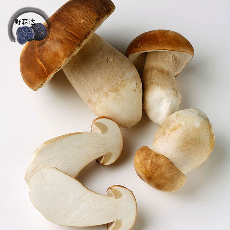 土耳其警方在突击行动中逮捕15名疑似IS成员:开云电竞官方网站(图2) 开云电竞官网