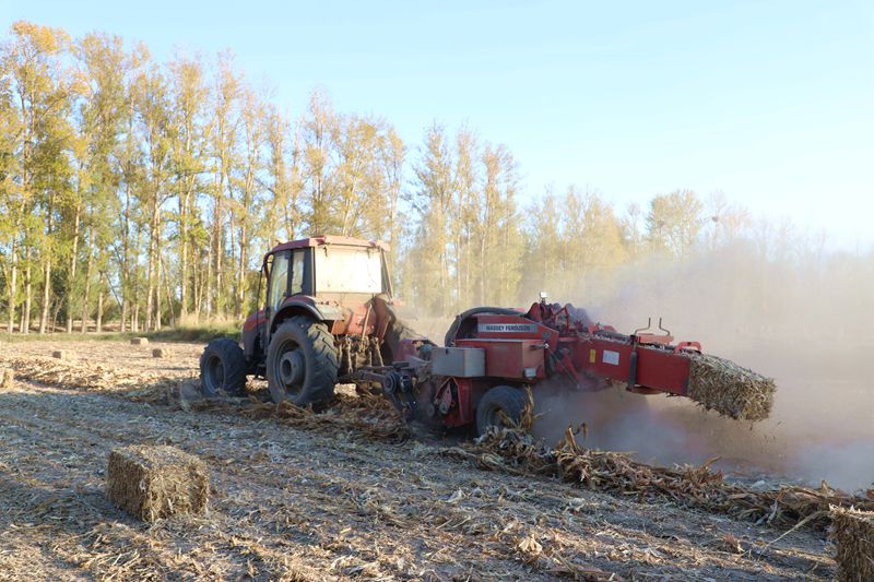 开云电竞官方网站