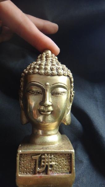 韩国人开始在宠物身上整容 打肉毒杆菌开眼角“开云电竞”(图1) 开云电竞官方网站