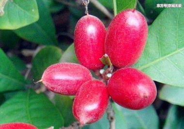 拜仁前瞻:科瓦奇遇lucky队誓取胜 仍坚持不轮换“开云电竞官方网站”(图2) 开云电竞官网