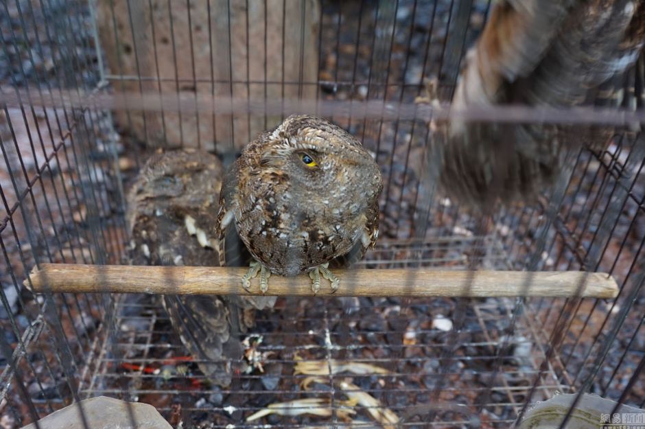 开云电竞官方网站