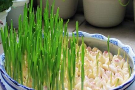 开云电竞官方网站