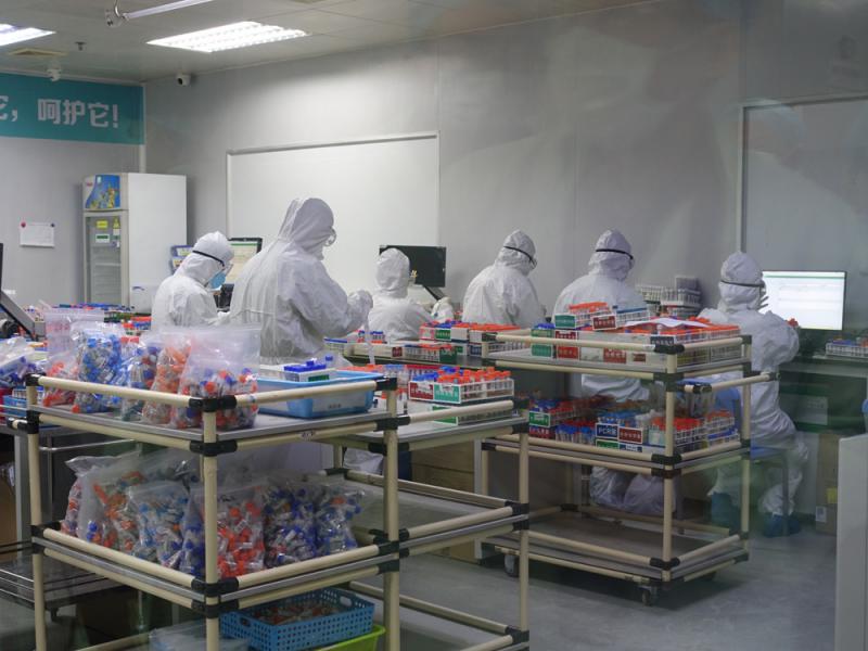 开云电竞官方网站