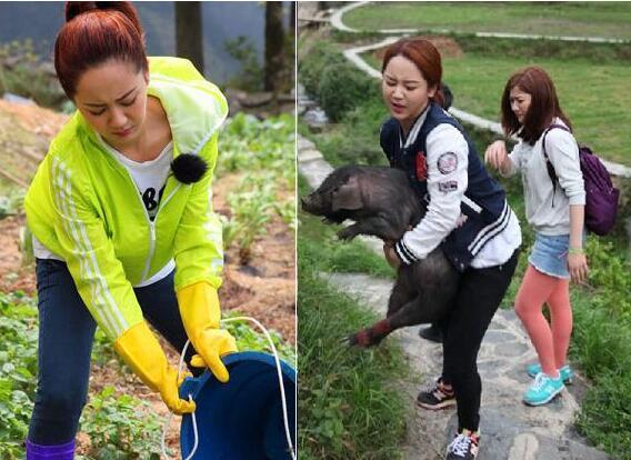 美国Level3扩展威彻斯特郡光纤网络:开云电竞官方网站(图1) 开云电竞官网