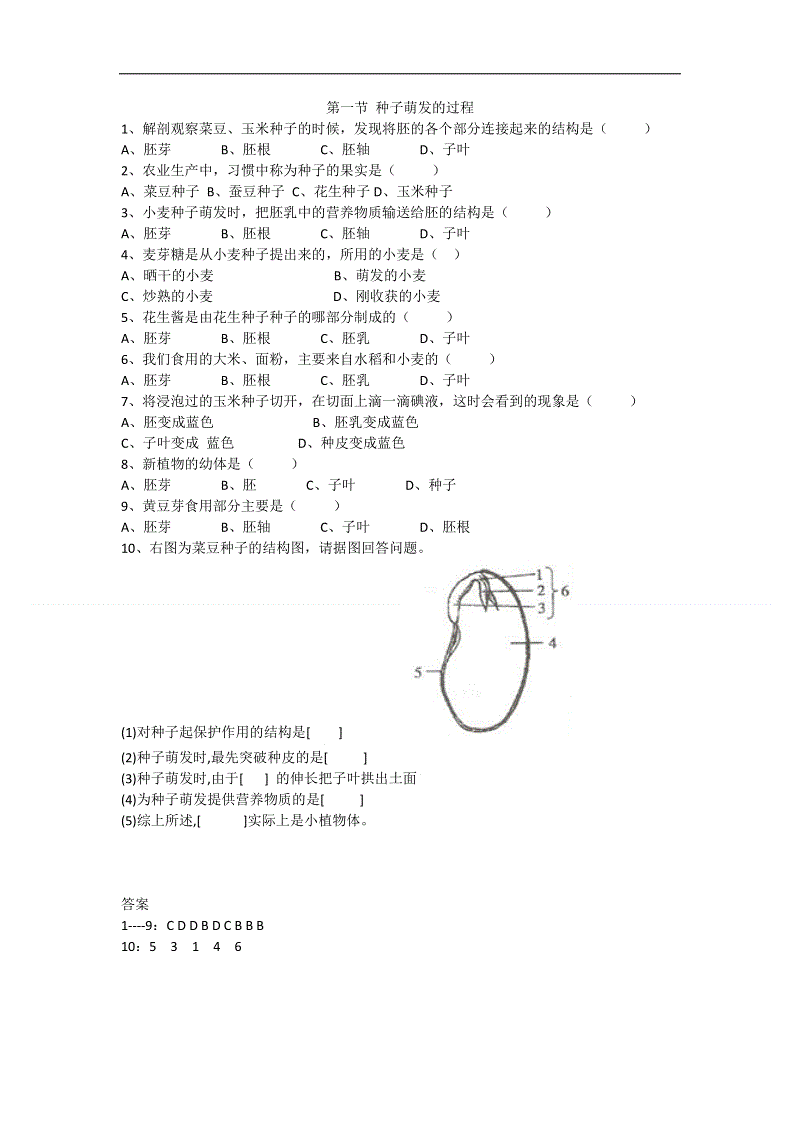 开云电竞官方网站