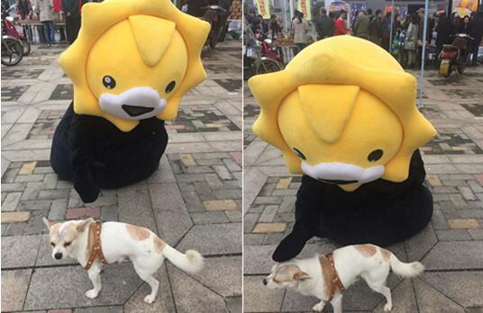 开云电竞官方网站