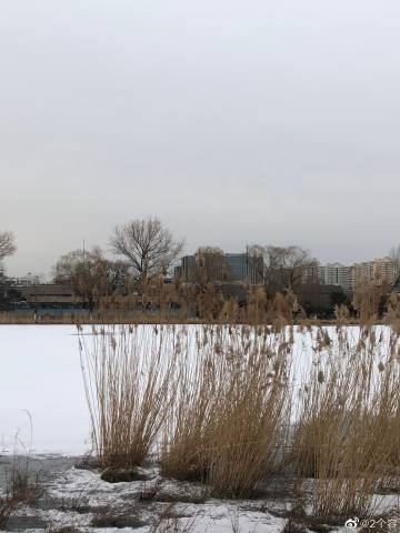 开云电竞官方网站