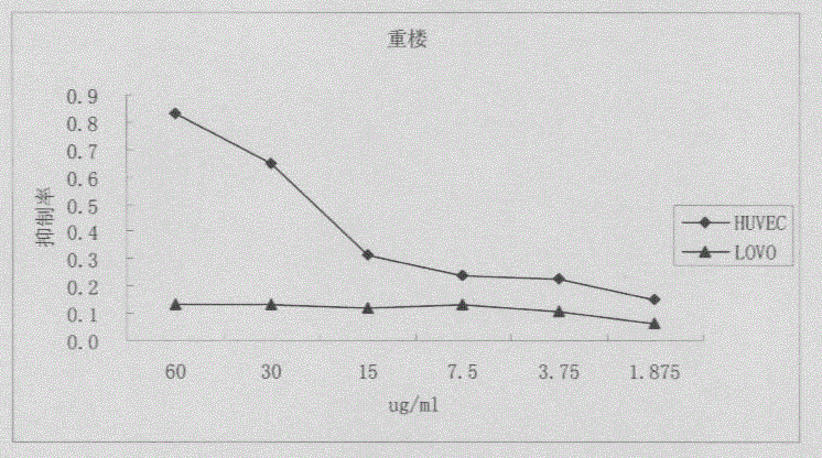 开云电竞官方网站