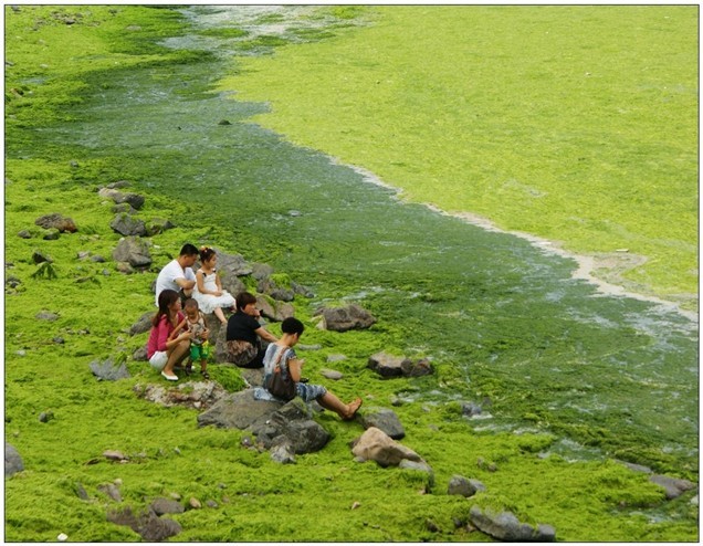 开云电竞官方网站