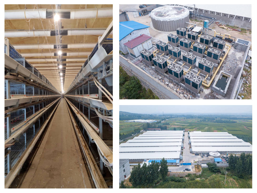 
节能革新-开云电竞官网(图6)