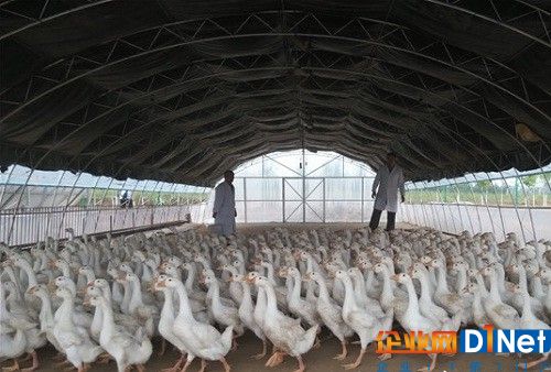 开云电竞官方网站