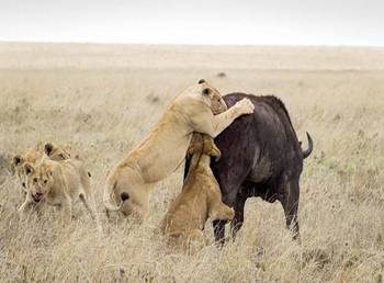 美新泽西州长列车上打电话声音大 被请出安静车厢“开云电竞官方网站”(图1) 开云电竞