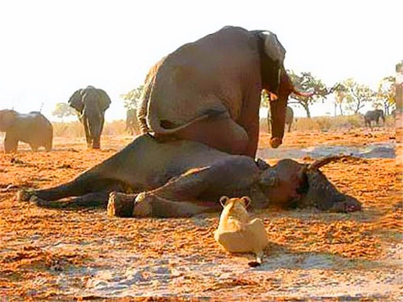 开云电竞官方网站