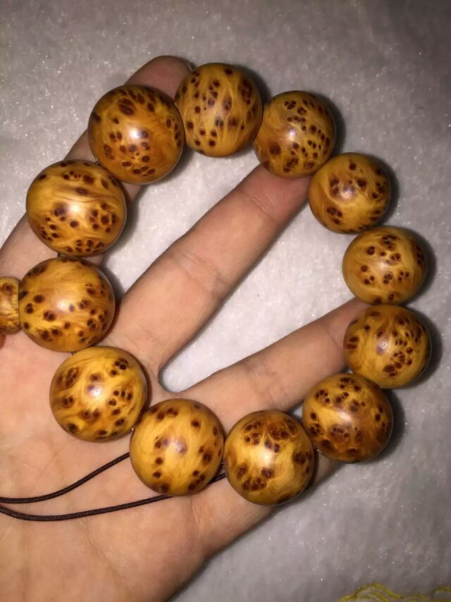 开云电竞官方网站