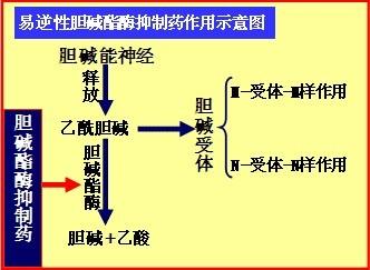 突破自动驾驶,固态激光雷达赋能下一代智能交通系统‘开云电竞官网’(图2) 开云电竞官方网站