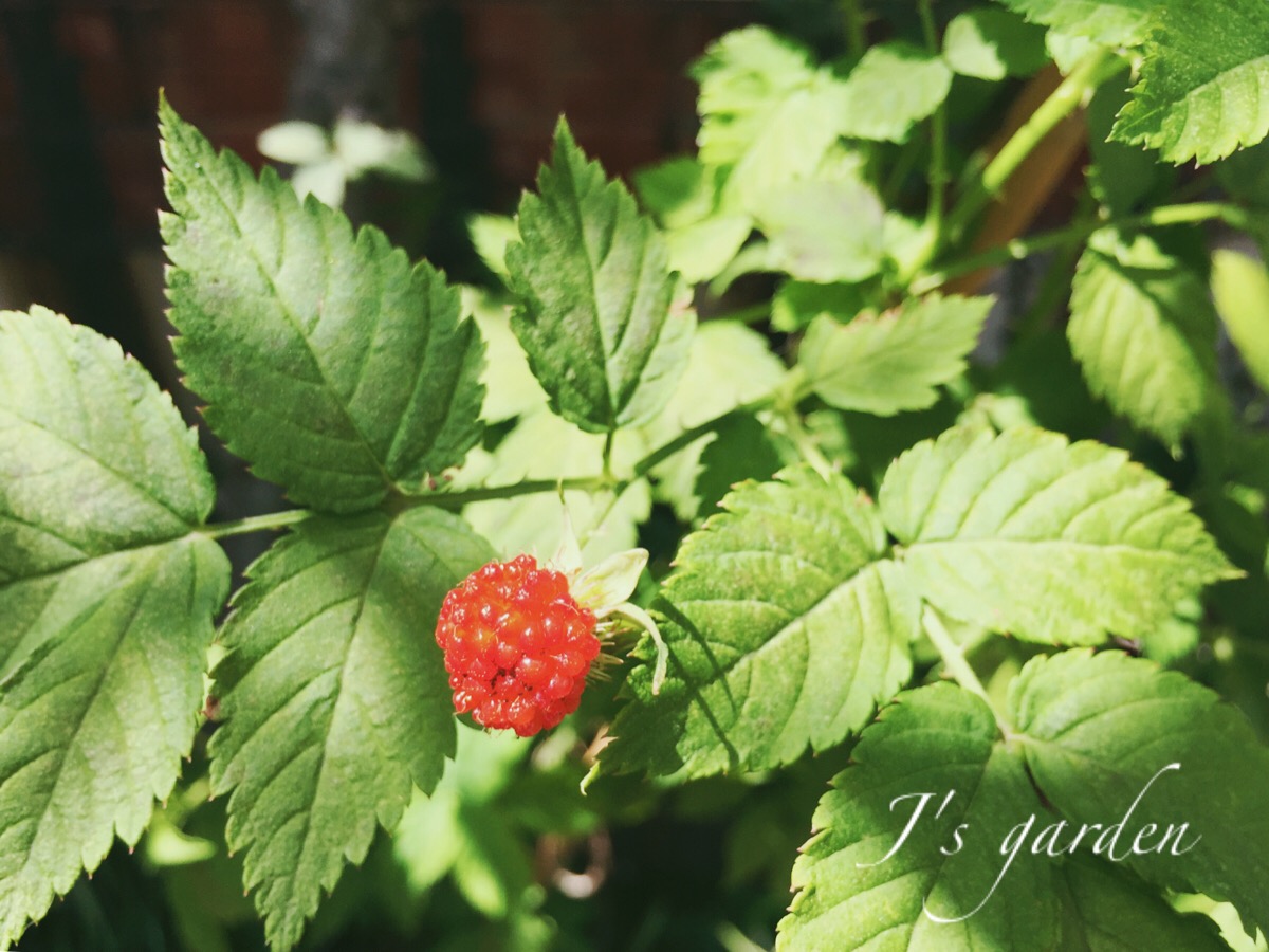 伊朗强硬回击美国新制裁:将继续升级导弹性能【开云电竞】(图2) 开云电竞