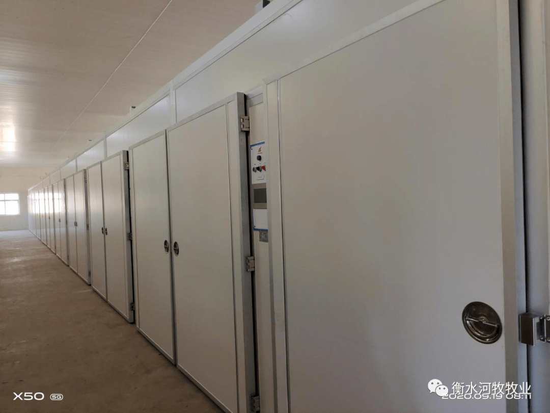 
河牧牧业孵化扩建有序举行中|开云电竞官方网站(图2)