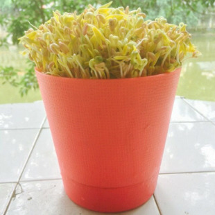 开云电竞官方网站