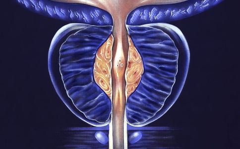 美国密苏里州数千人集会抗议白人警察枪杀无辜黑人青年|开云电竞官网(图4) 开云电竞官网