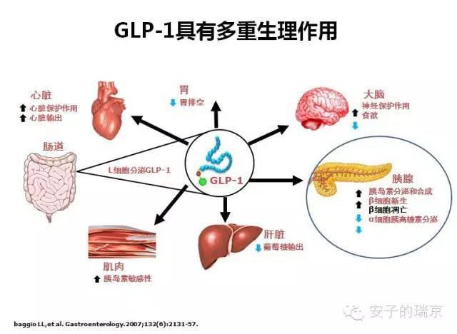 开云电竞官网